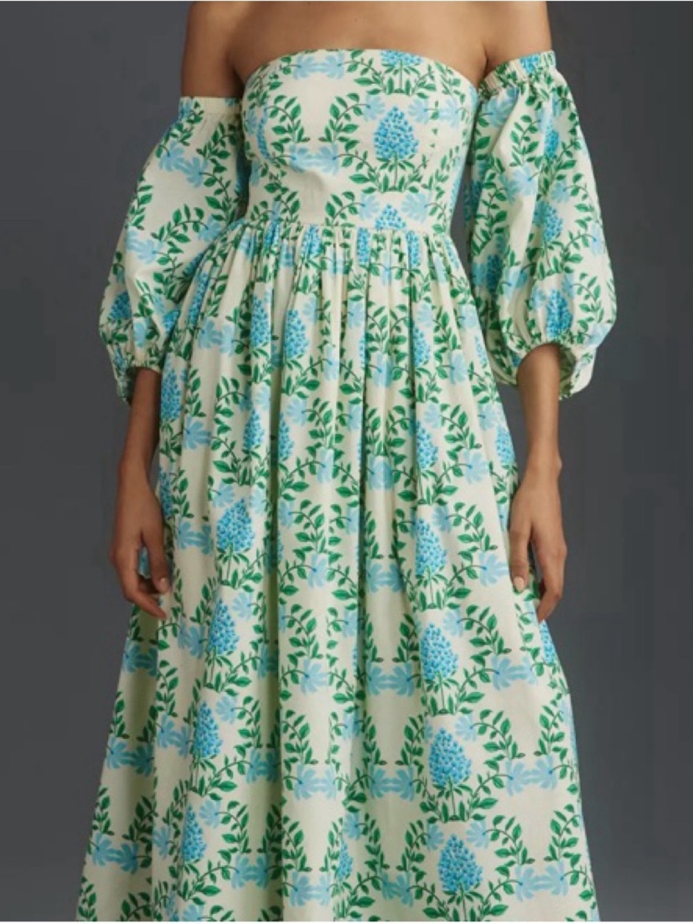 Anthropologie Let Me Be Georgia Hydrangea Floral Maxi Dress